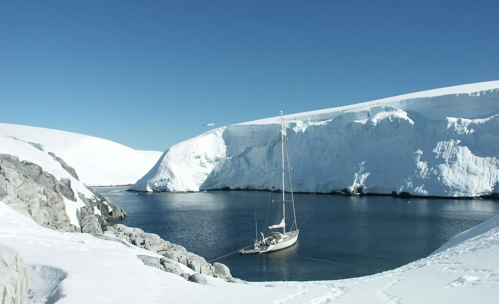 TANANA Anchored